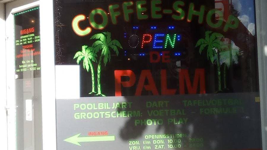 De Palm - Foto 4