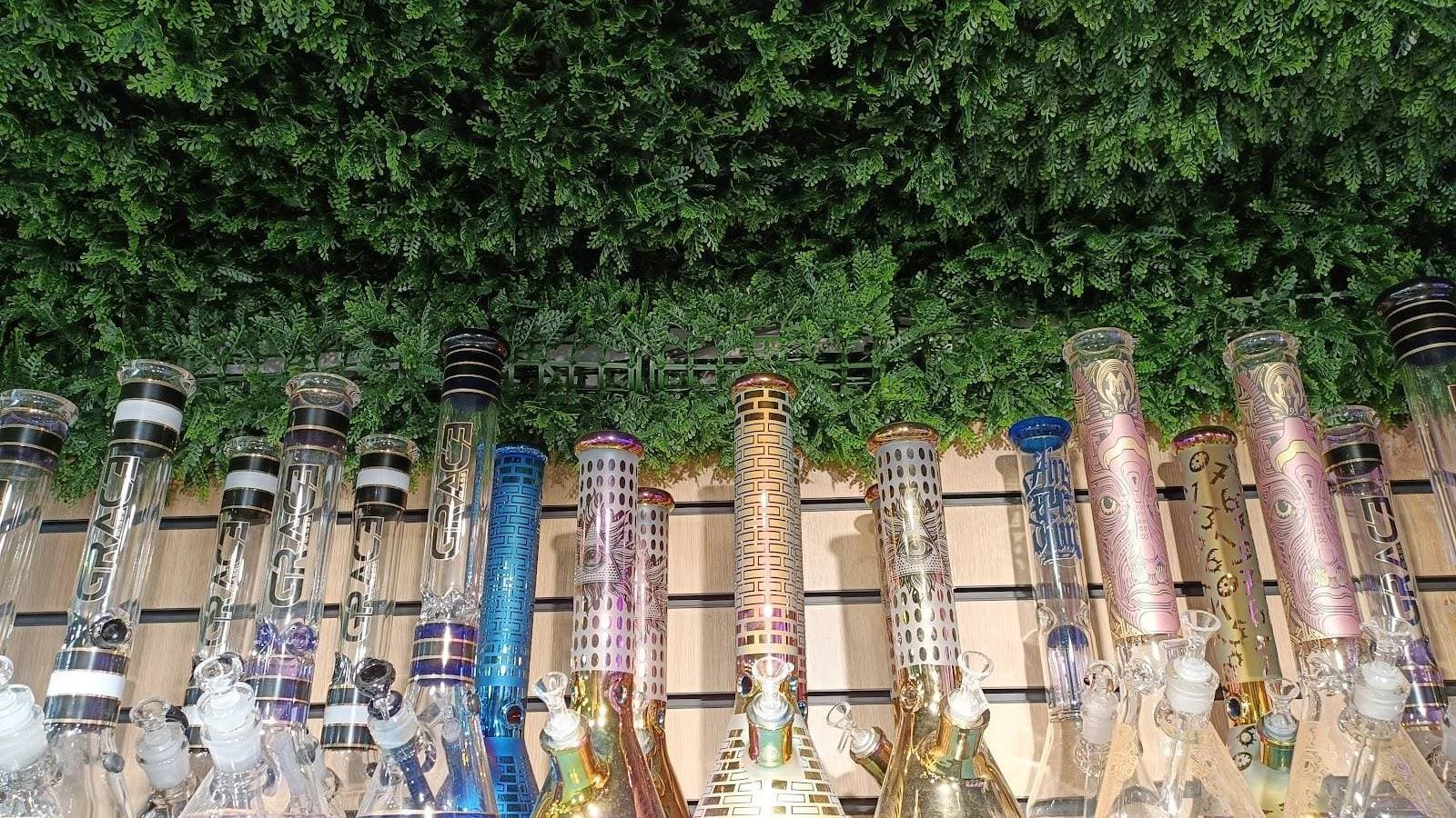 Elements of Lush - Foto 1