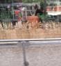 Smartshop House of Smart Den Bosch - Foto 2
