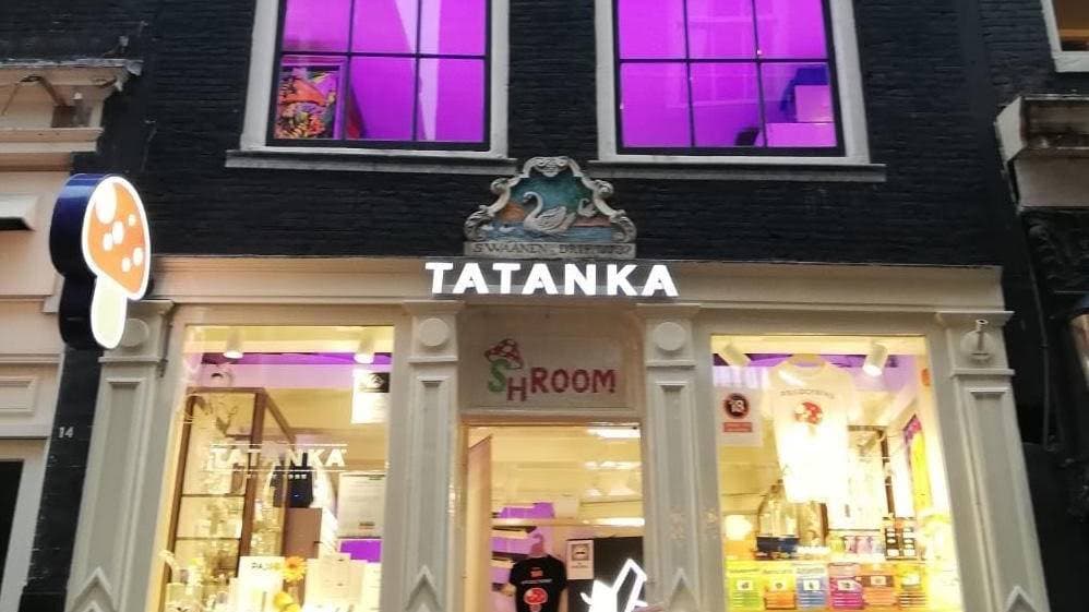 Tatanka - Foto 3