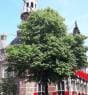 The Hague Seed Center - Foto 2