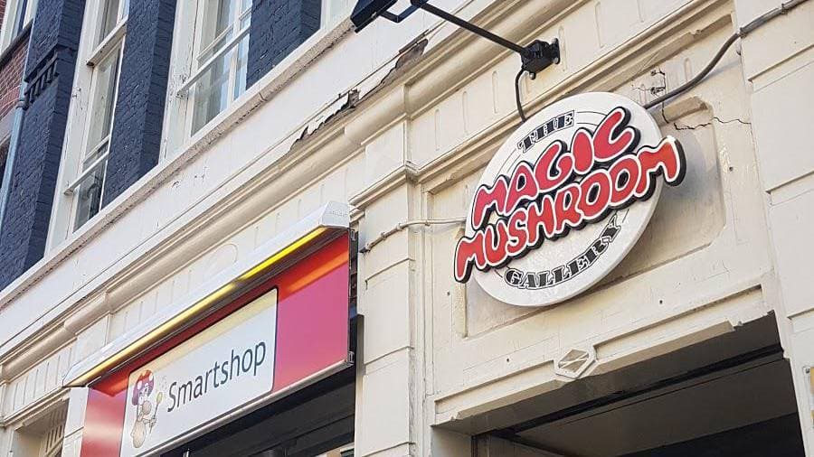 The Magic Mushroom Gallery - Foto 5