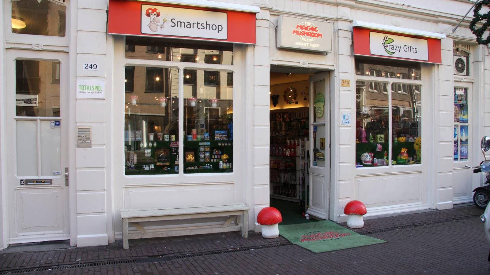 The Magic Mushroom Gallery