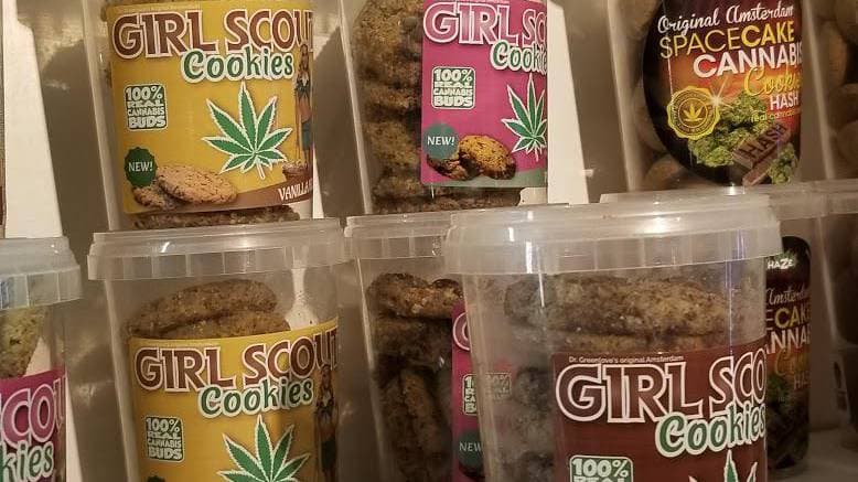 The Magic Mushroom Gallery